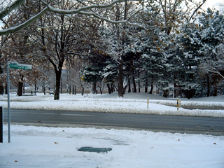 Strathcona Snow