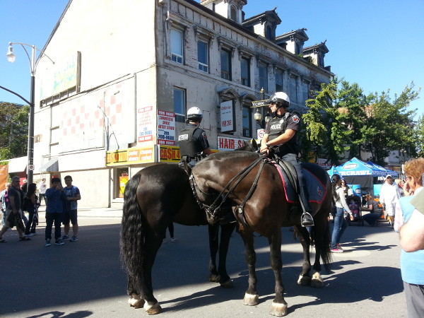 Easiest pay duty ever: Hamilton mounted police maintaining order