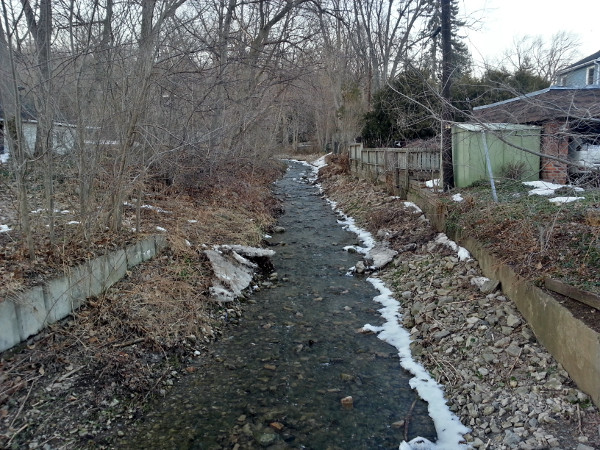 Sydenham Creek looking upstream from the north side of Alma Street
