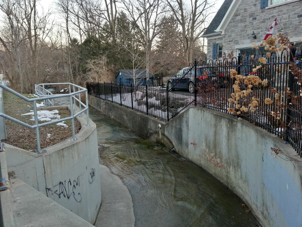 Sydenham Creek looking downstream from the culvert crossing Alma Street