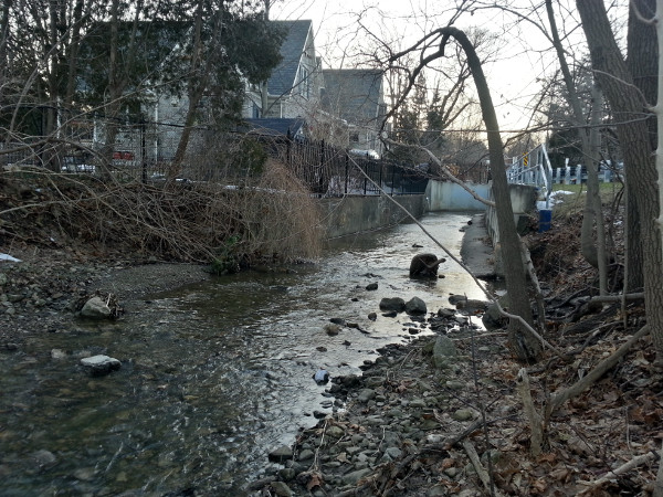 Sydenham Creek looking upstream along the south side of Alma Street