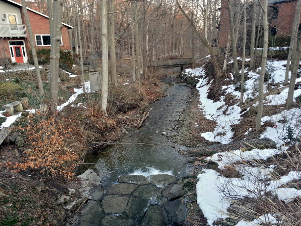 Sydenham Creek looking downstream from Cross Street