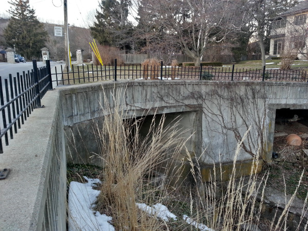 Sydenham Creek looking upstream under the culvert at Cross Street