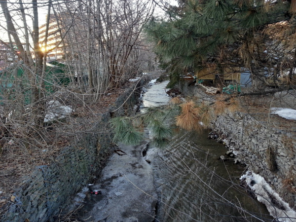 Sydenham Creek looking upstream from York Road