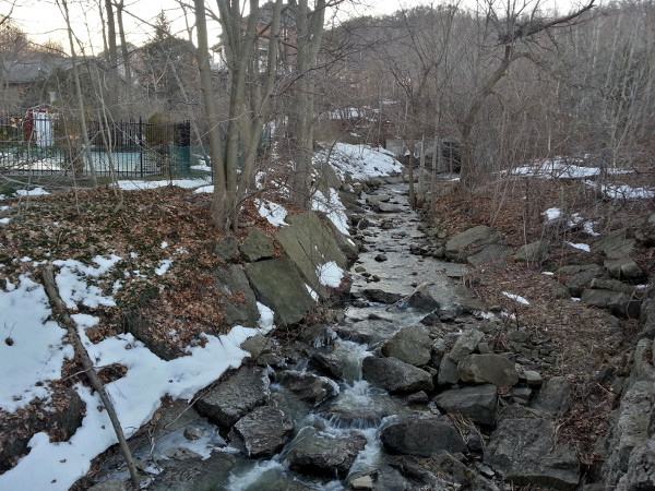 Sydenham Creek looking upstream from Sydenham Road