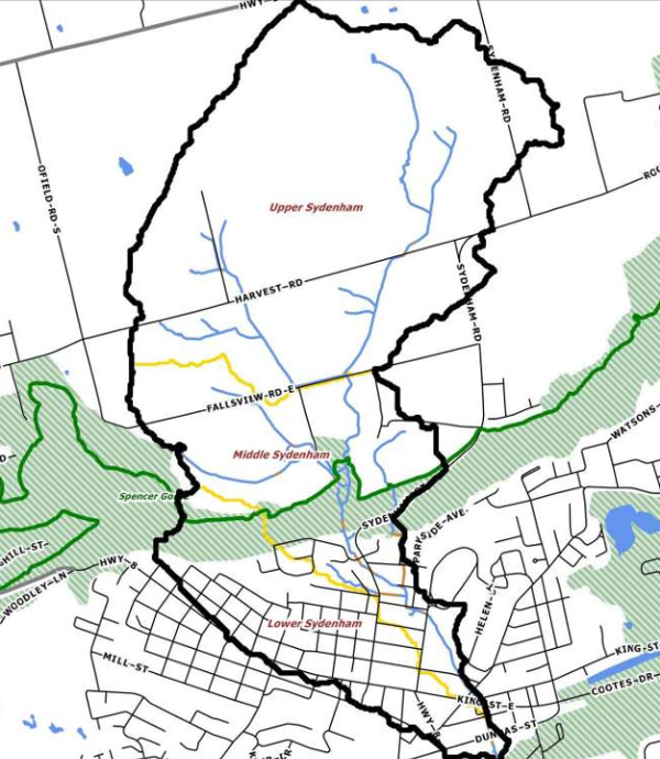 Sydenham Creek catchments (Image Credit: Hamilton Conservation Authority)