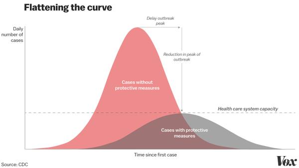 Graph: flattening the curve (Image Credit: Vox)