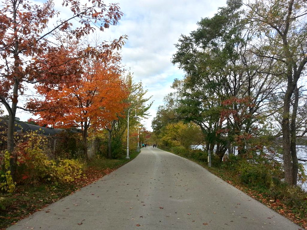 Waterfront Trail near Bayfront Park